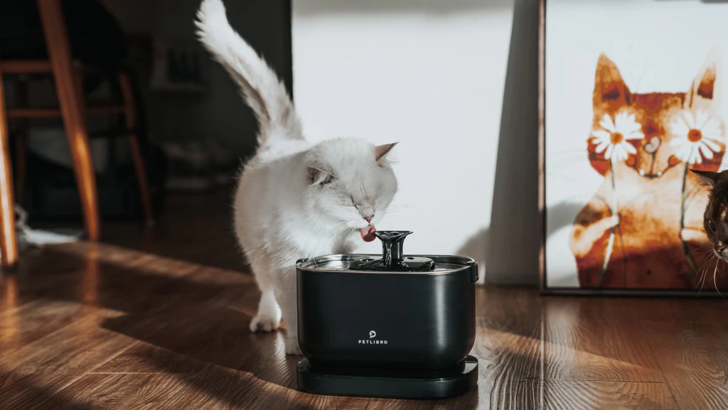Top 7 Pet Water Fountains Hydration Made Fun & Healthy
